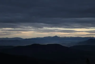 DSC_0124 (Large).JPG